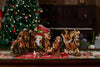 8" Indoor Nativity Set - 11-Piece Christmas Creche Set